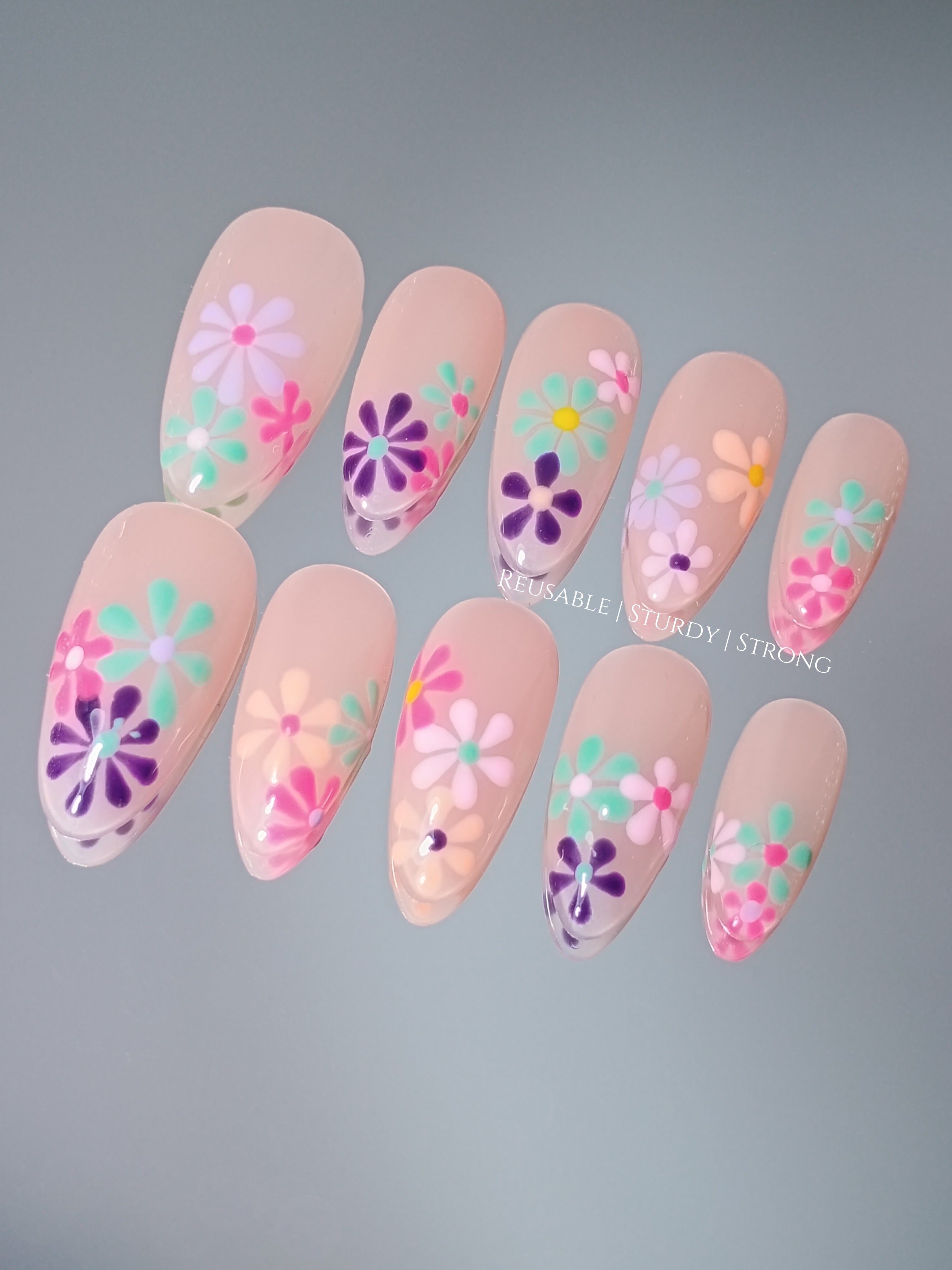 Vivid Colourful Blooms