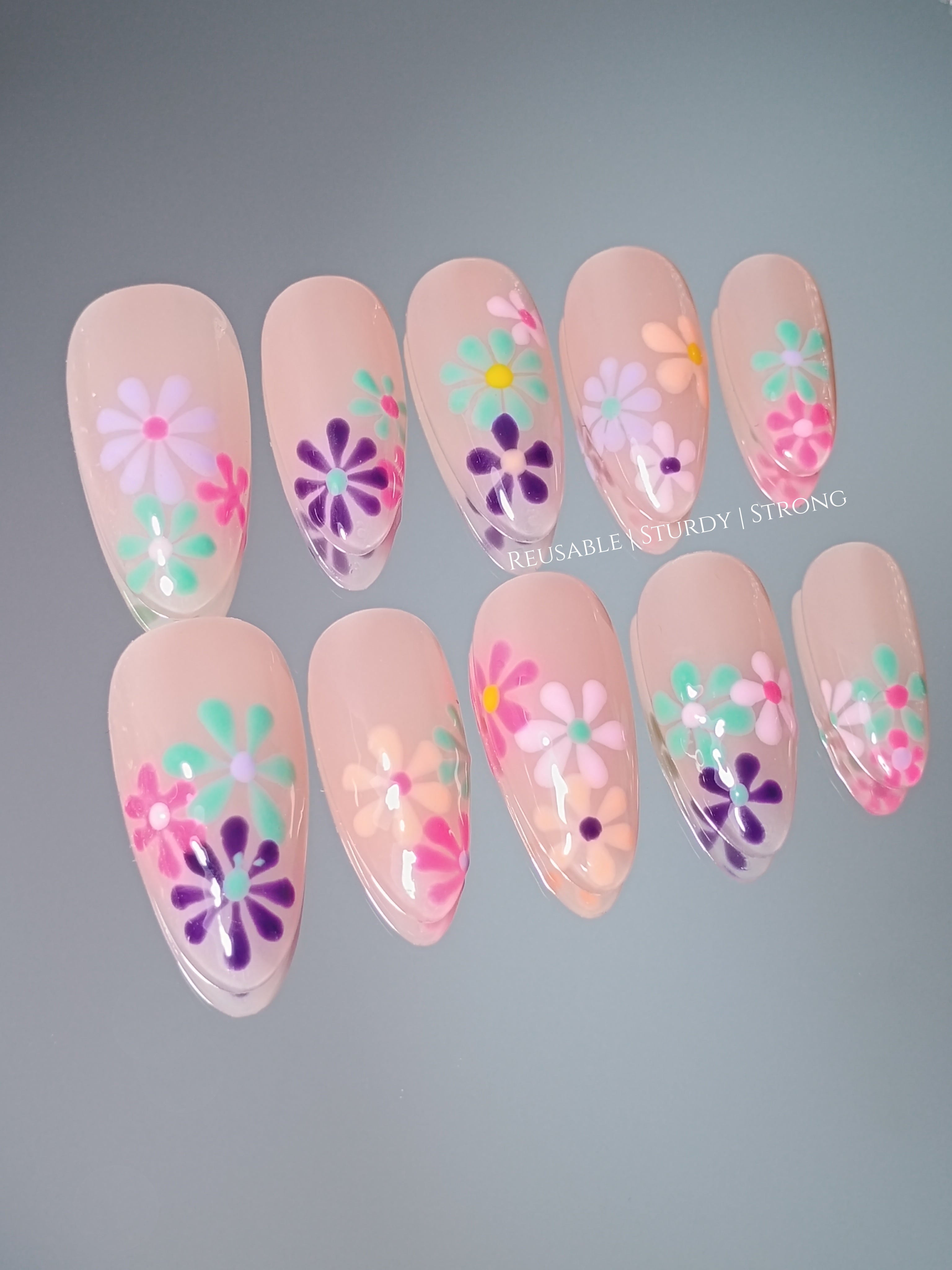 Vivid Colourful Blooms