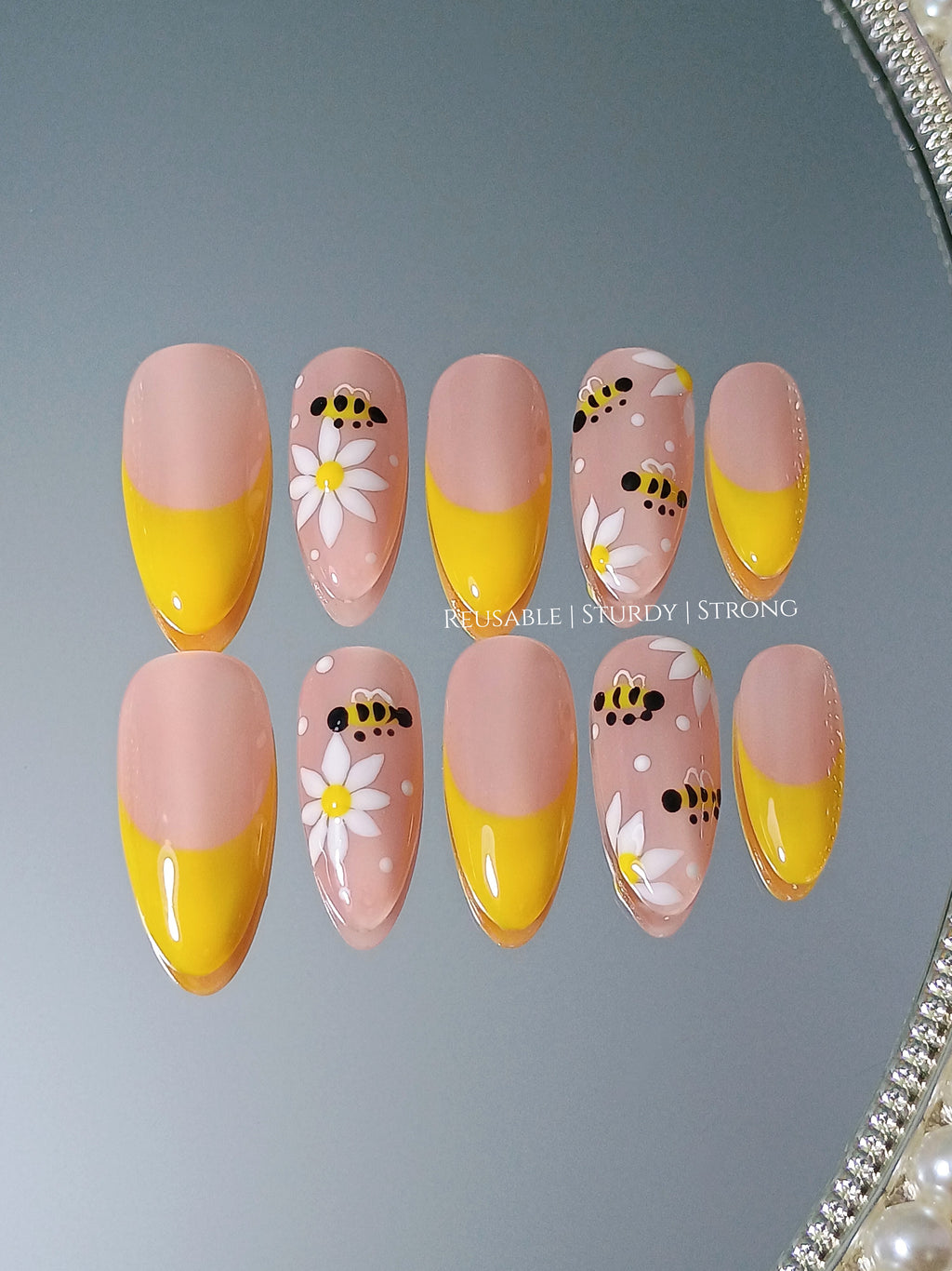 Honey bee and daisy