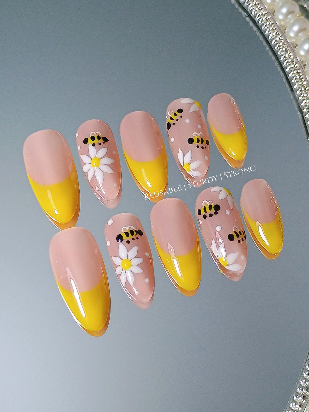 Honey bee and daisy