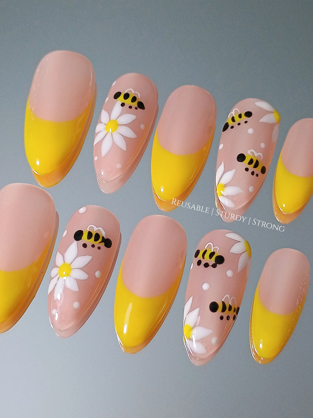 Honey bee and daisy