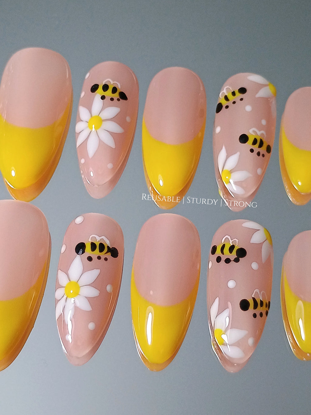 Honey bee and daisy