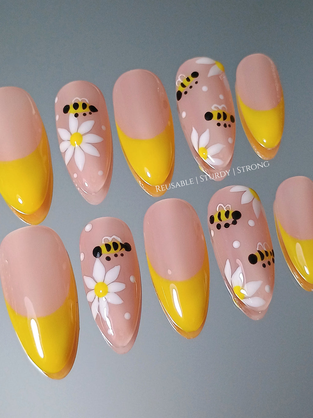 Honey bee and daisy