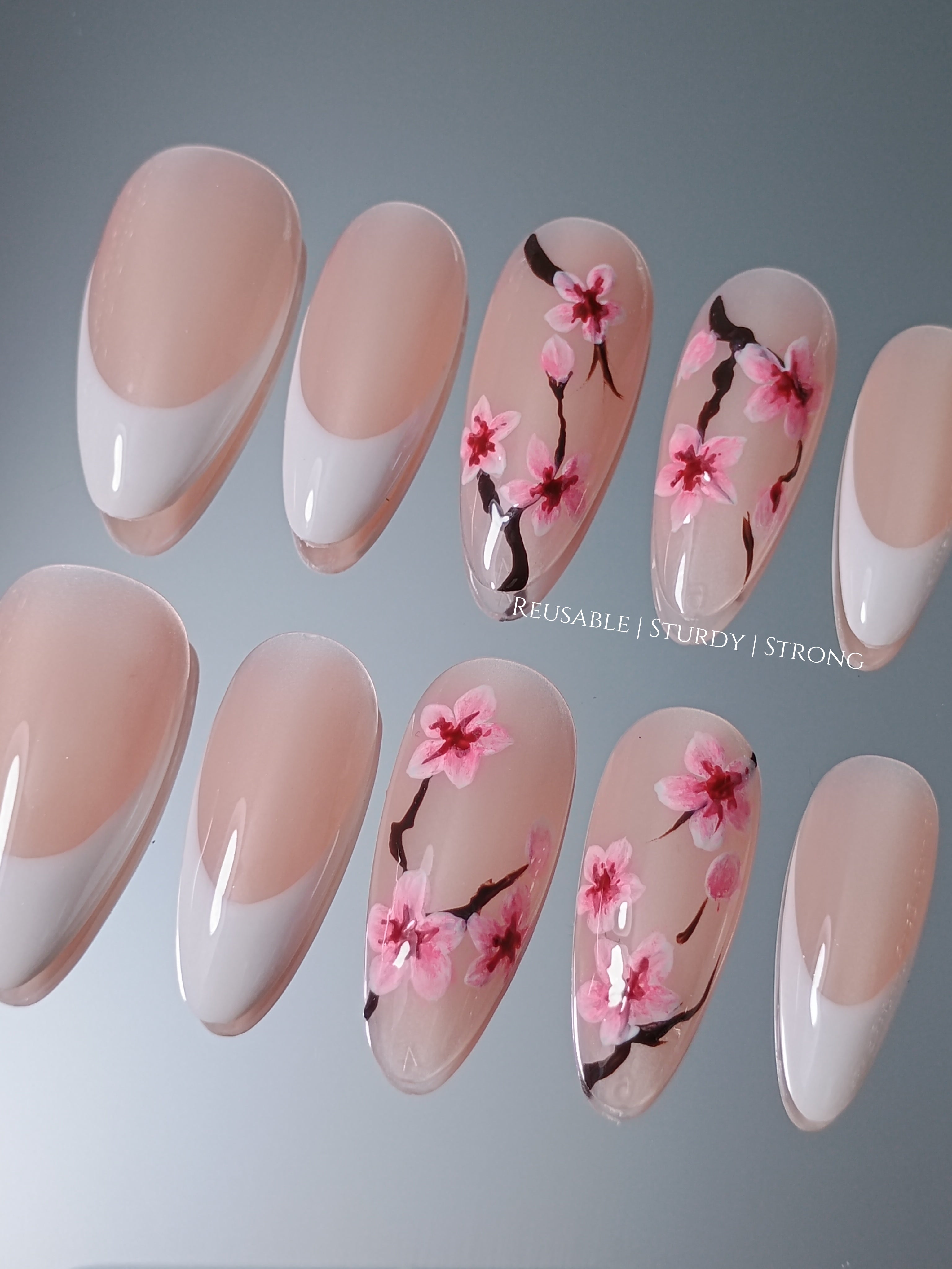 Sakura in Tokyo