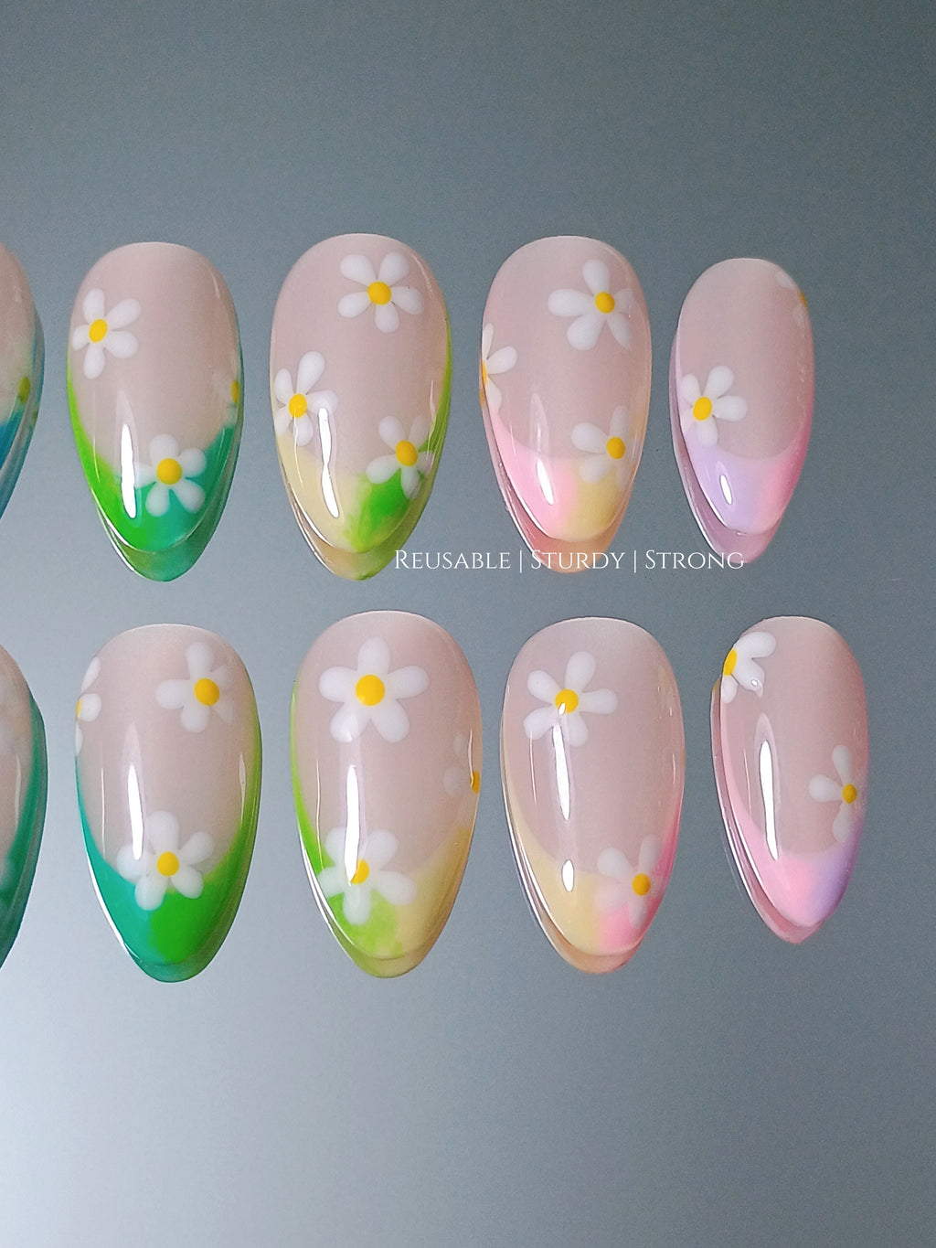 Soft Gradient Daisy Flower