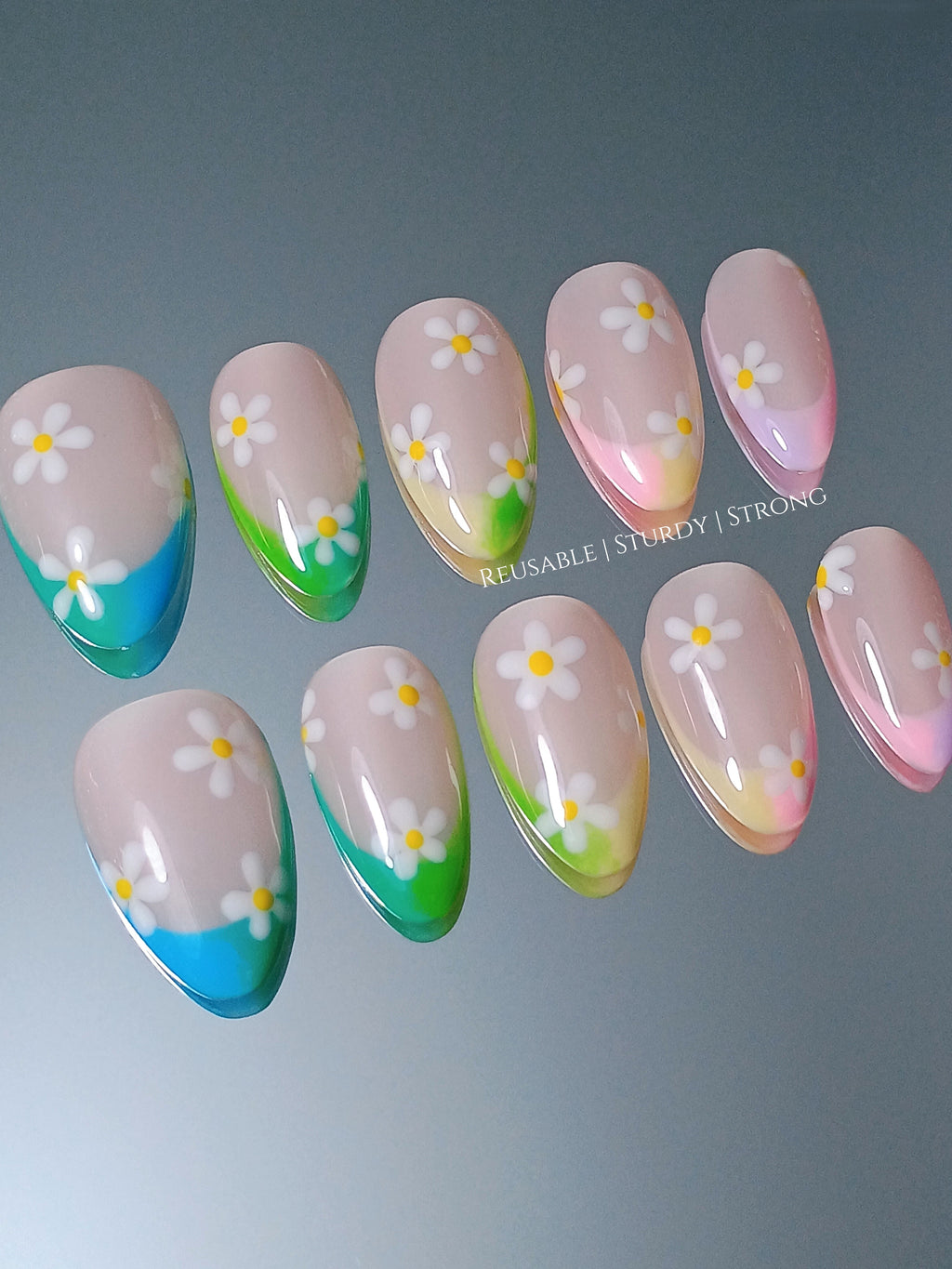 Soft Gradient Daisy Flower