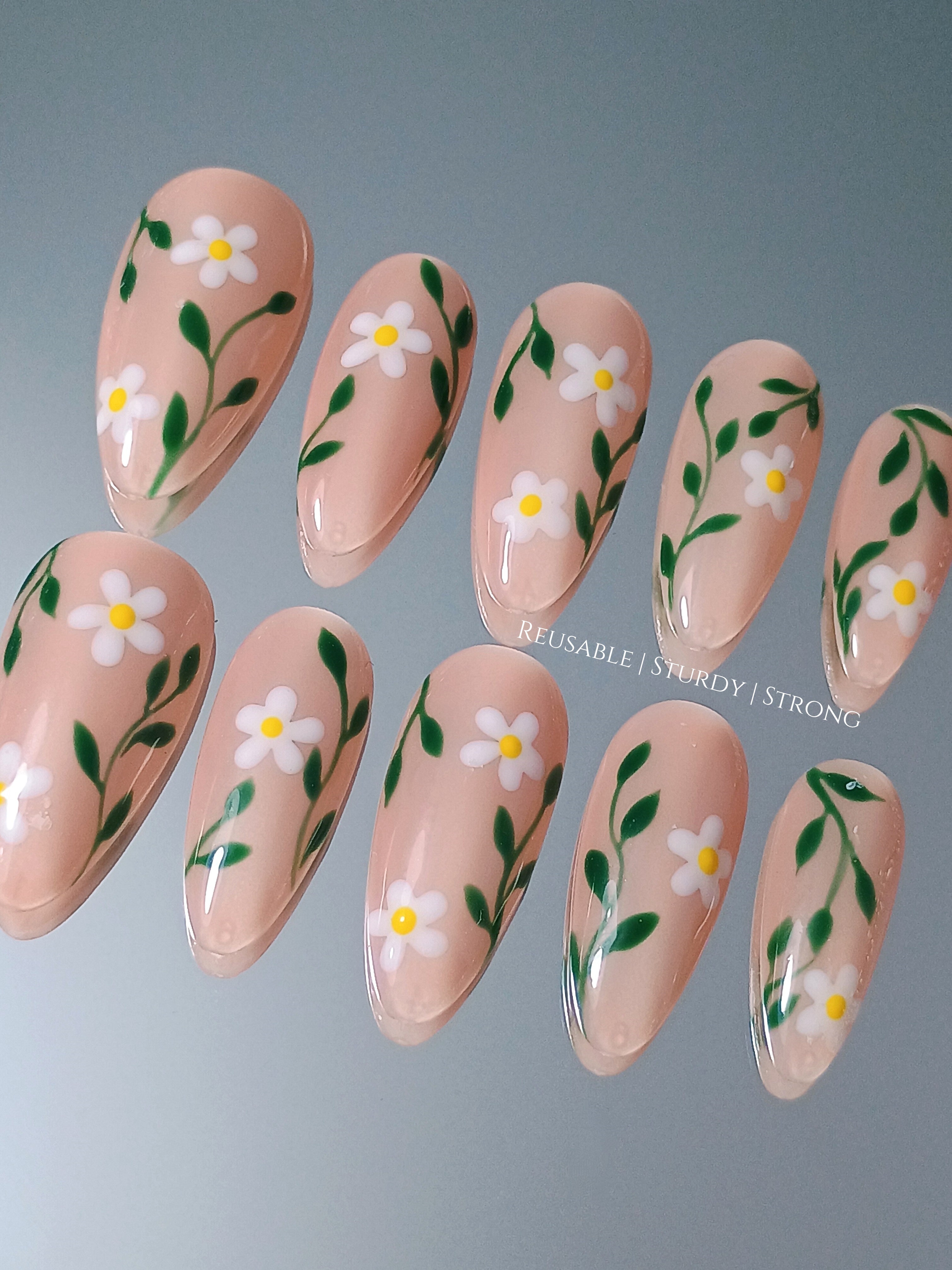 Spring Daisy Blossom