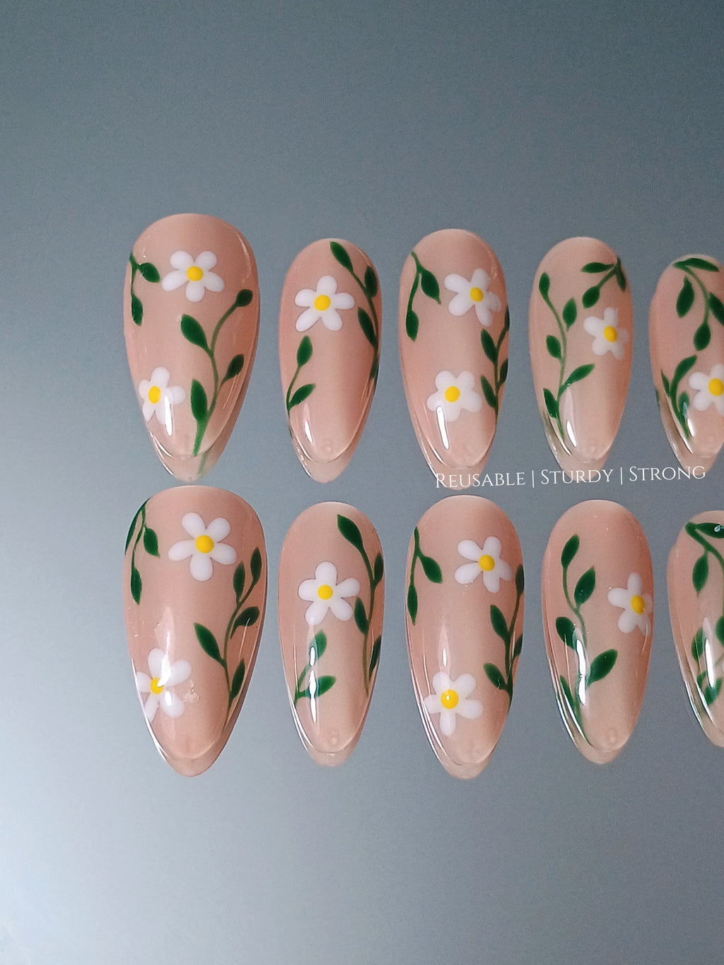 Spring Daisy Blossom