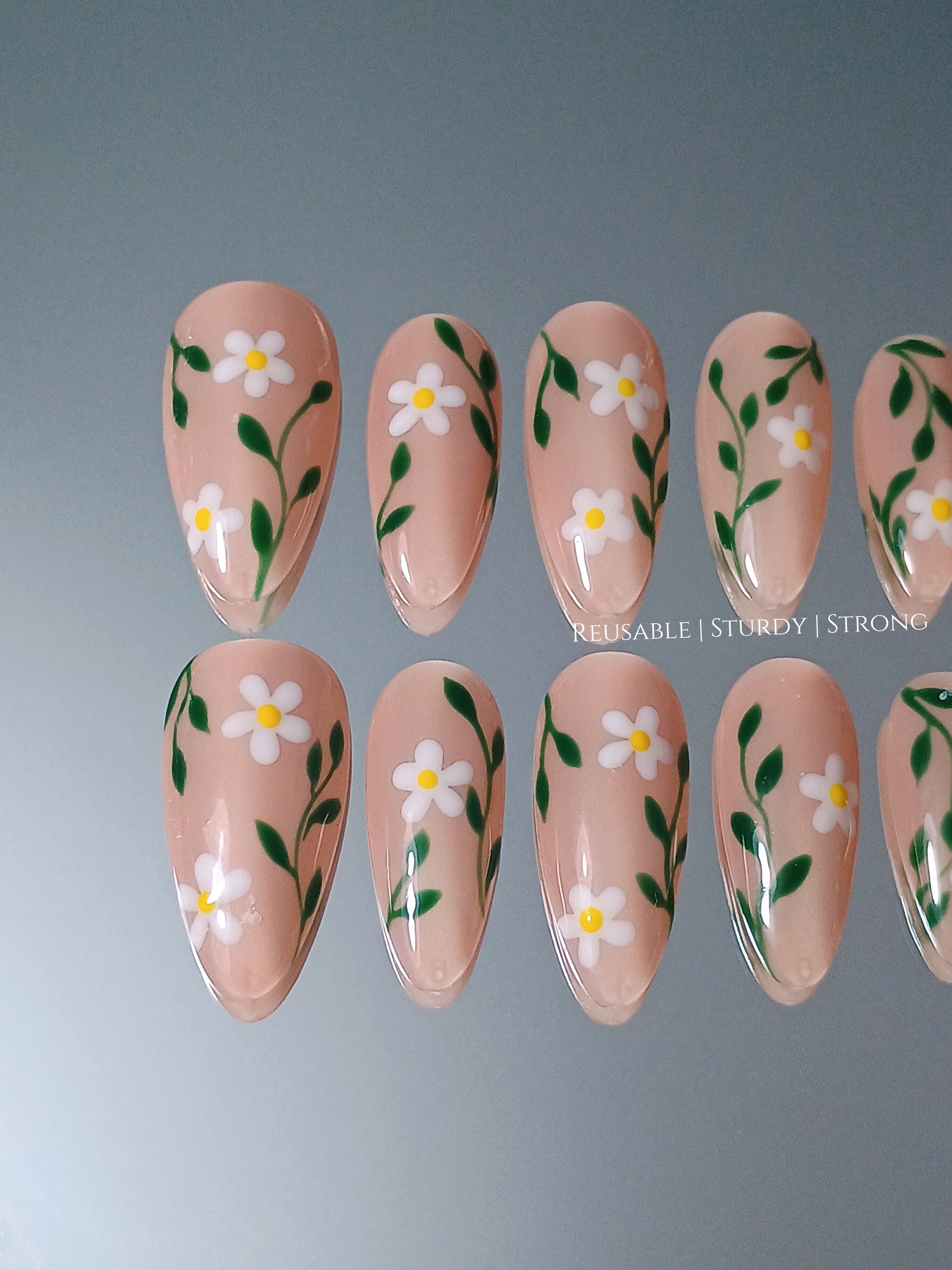 Spring Daisy Blossom