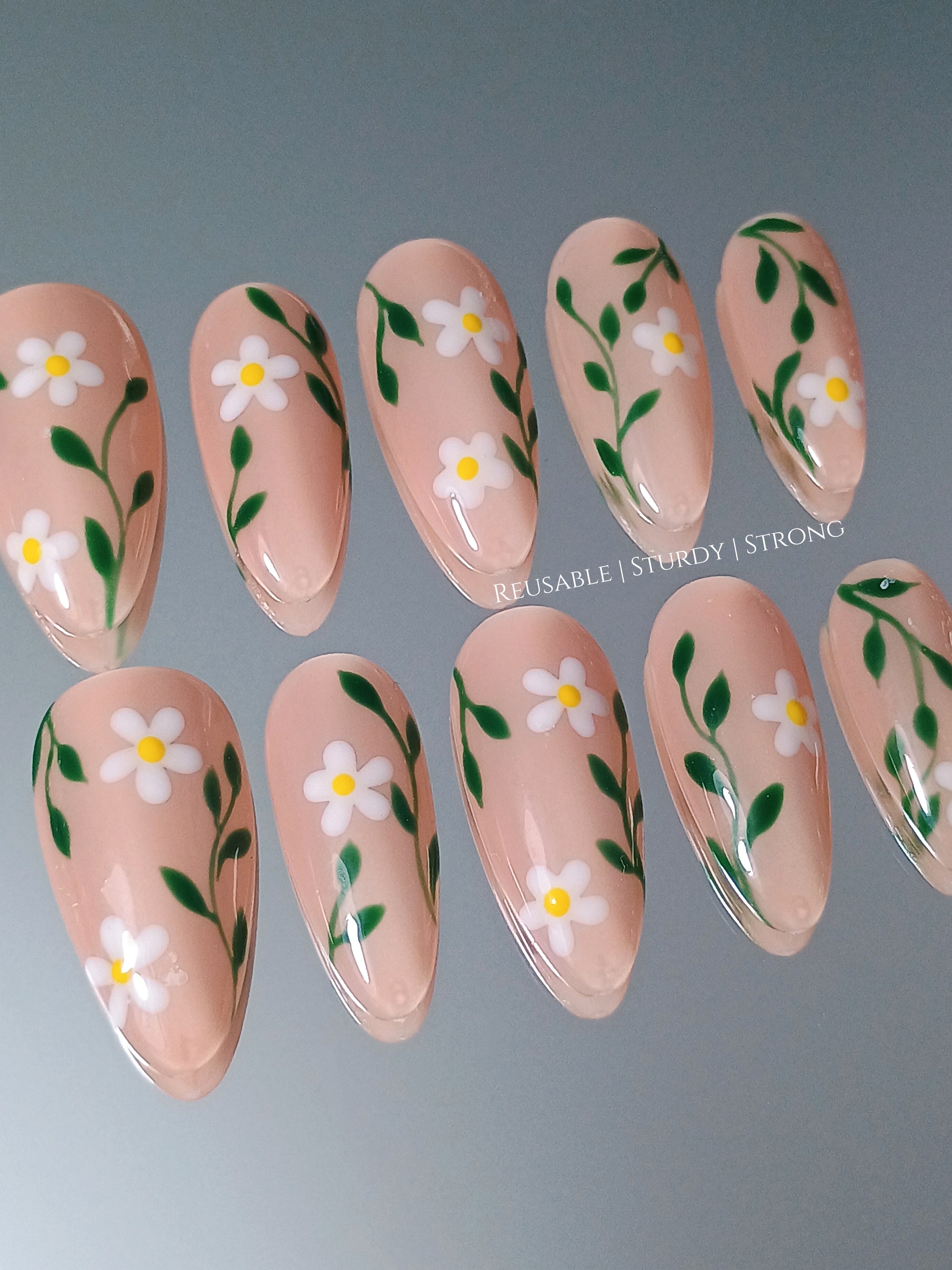 Spring Daisy Blossom