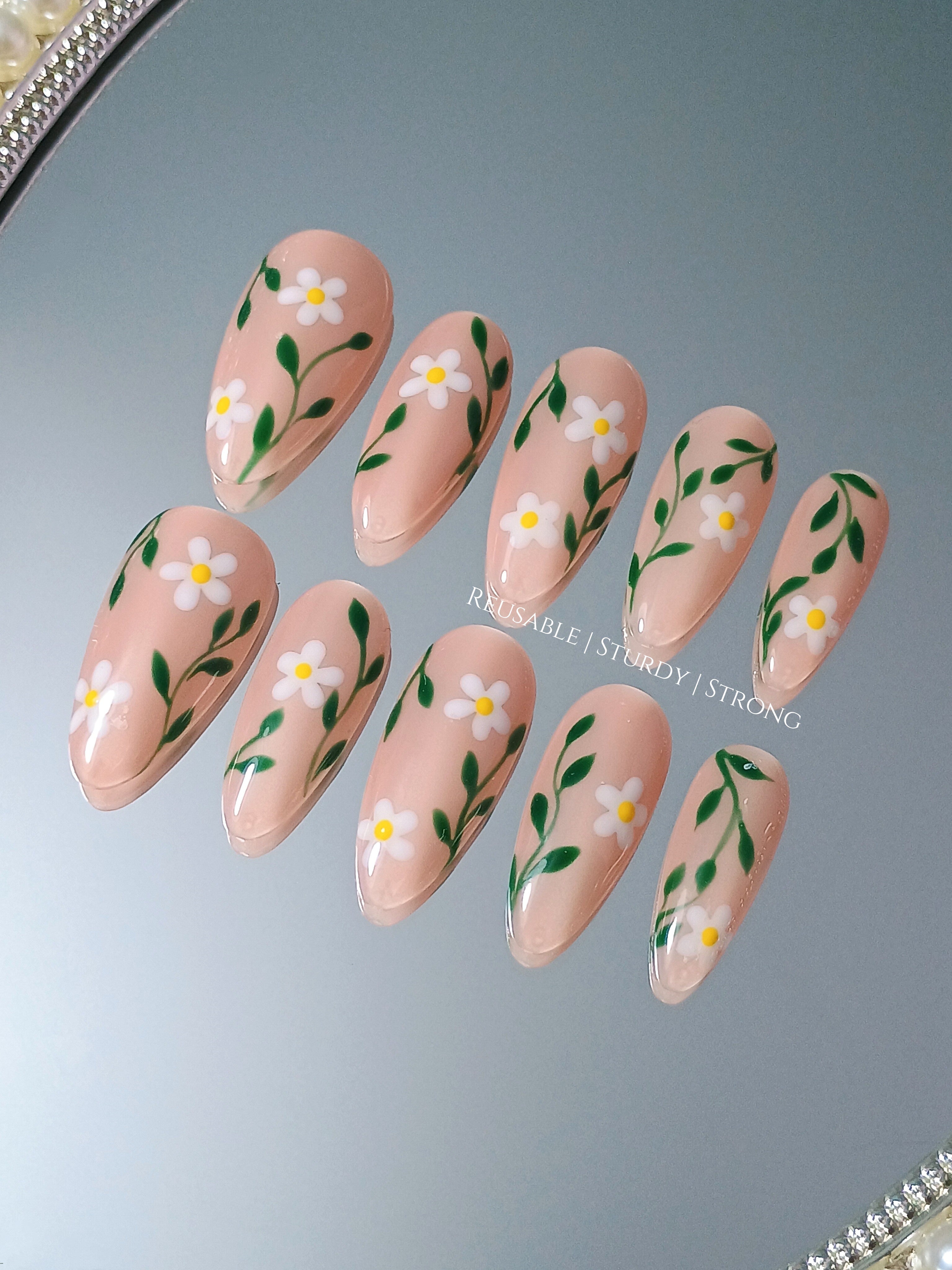 Spring Daisy Blossom