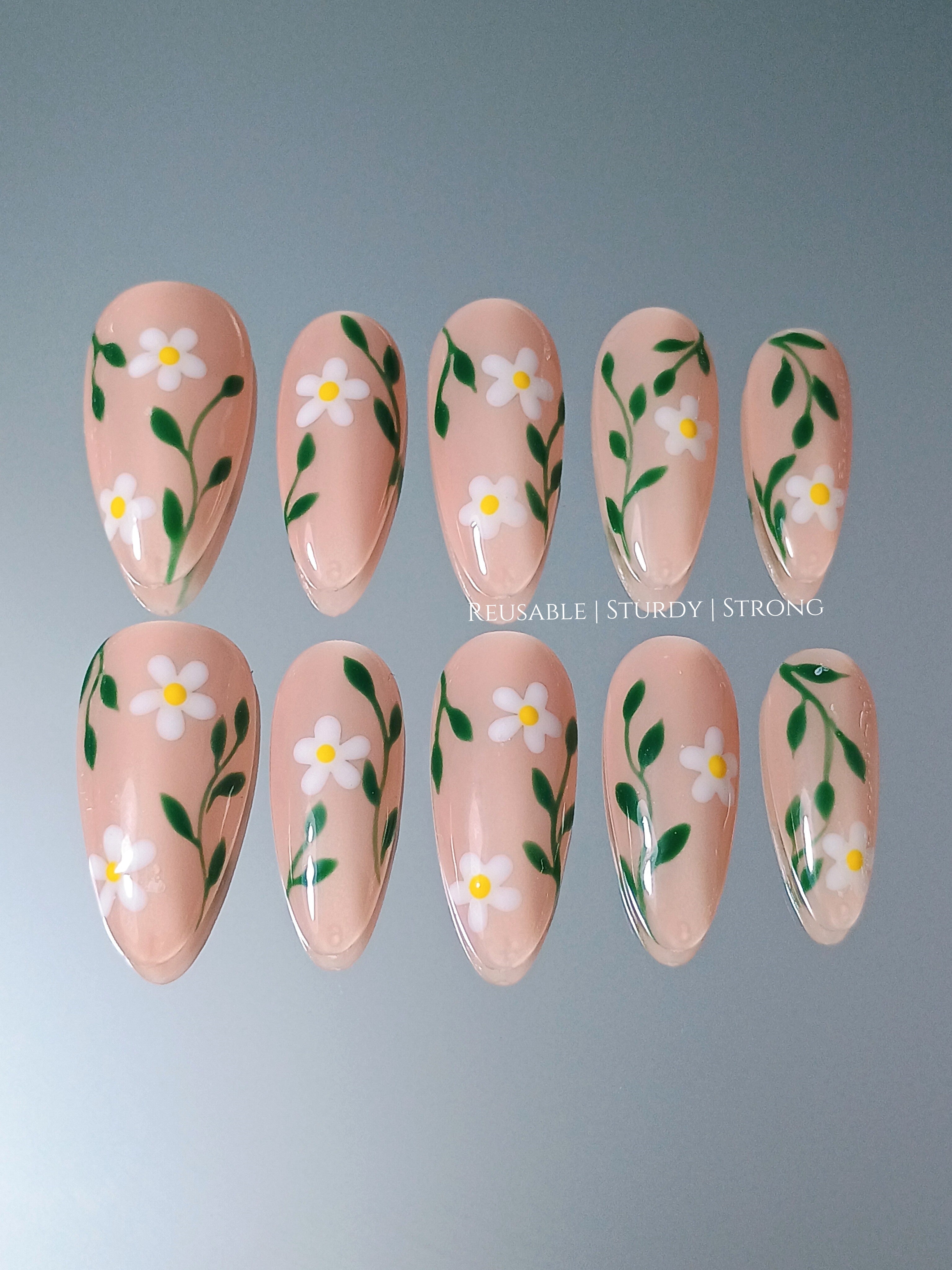 Spring Daisy Blossom