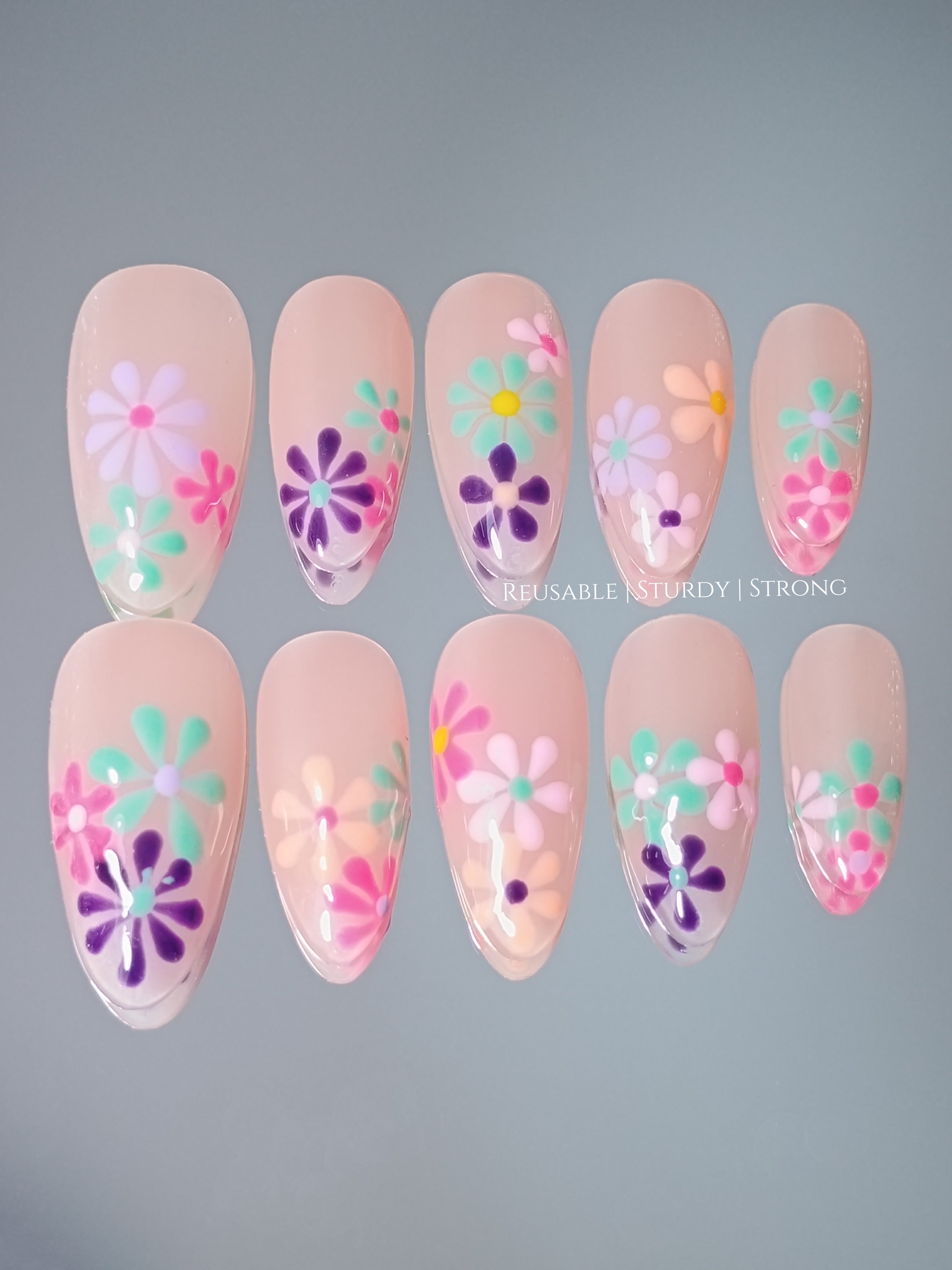 Vivid Colourful Blooms