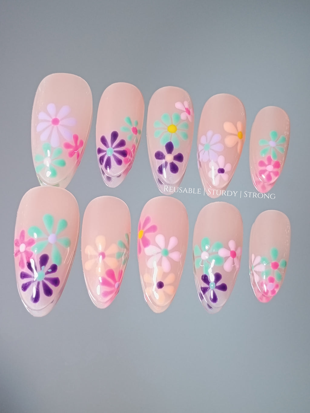 Vivid Colourful Blooms