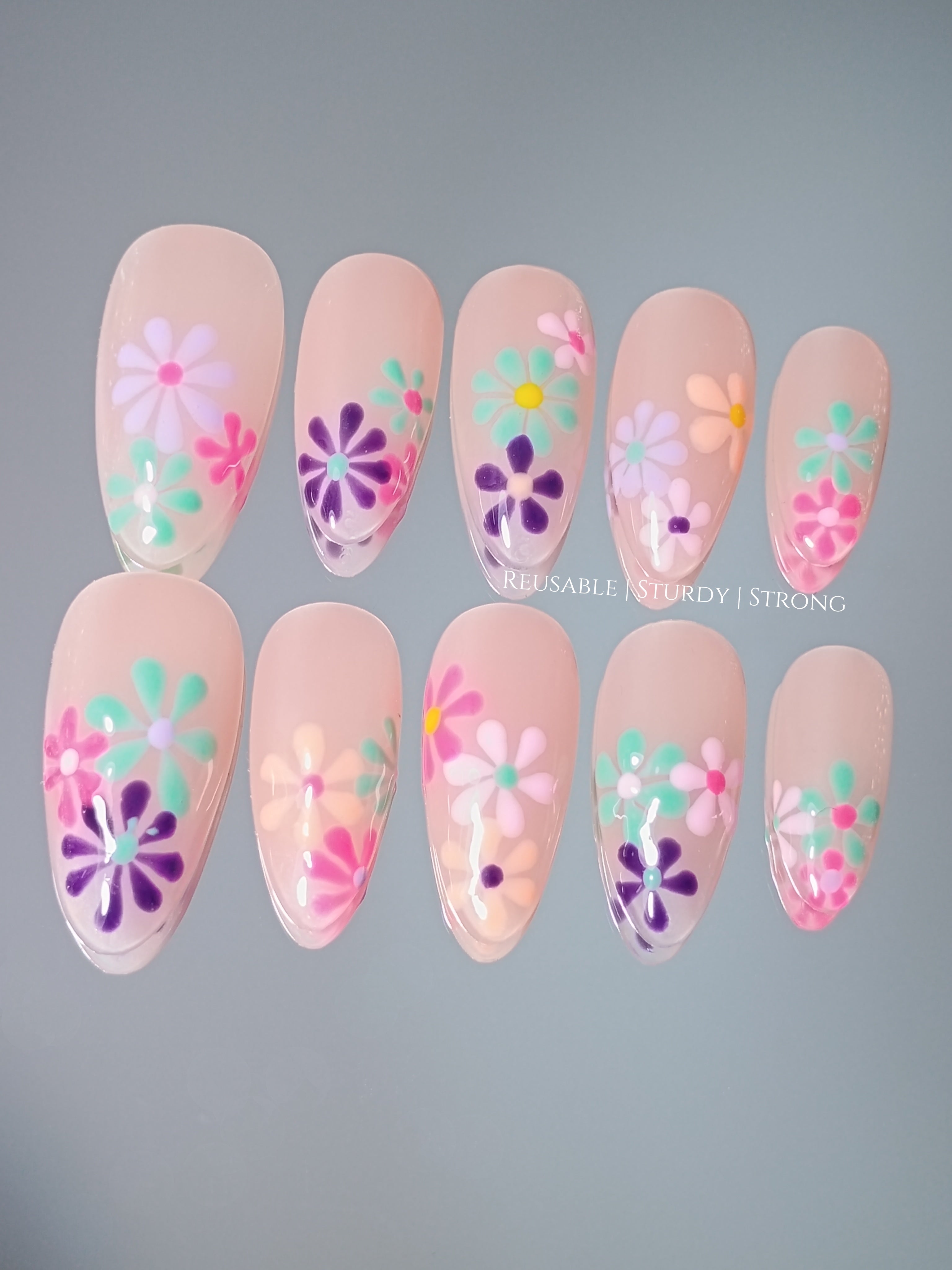 Vivid Colourful Blooms