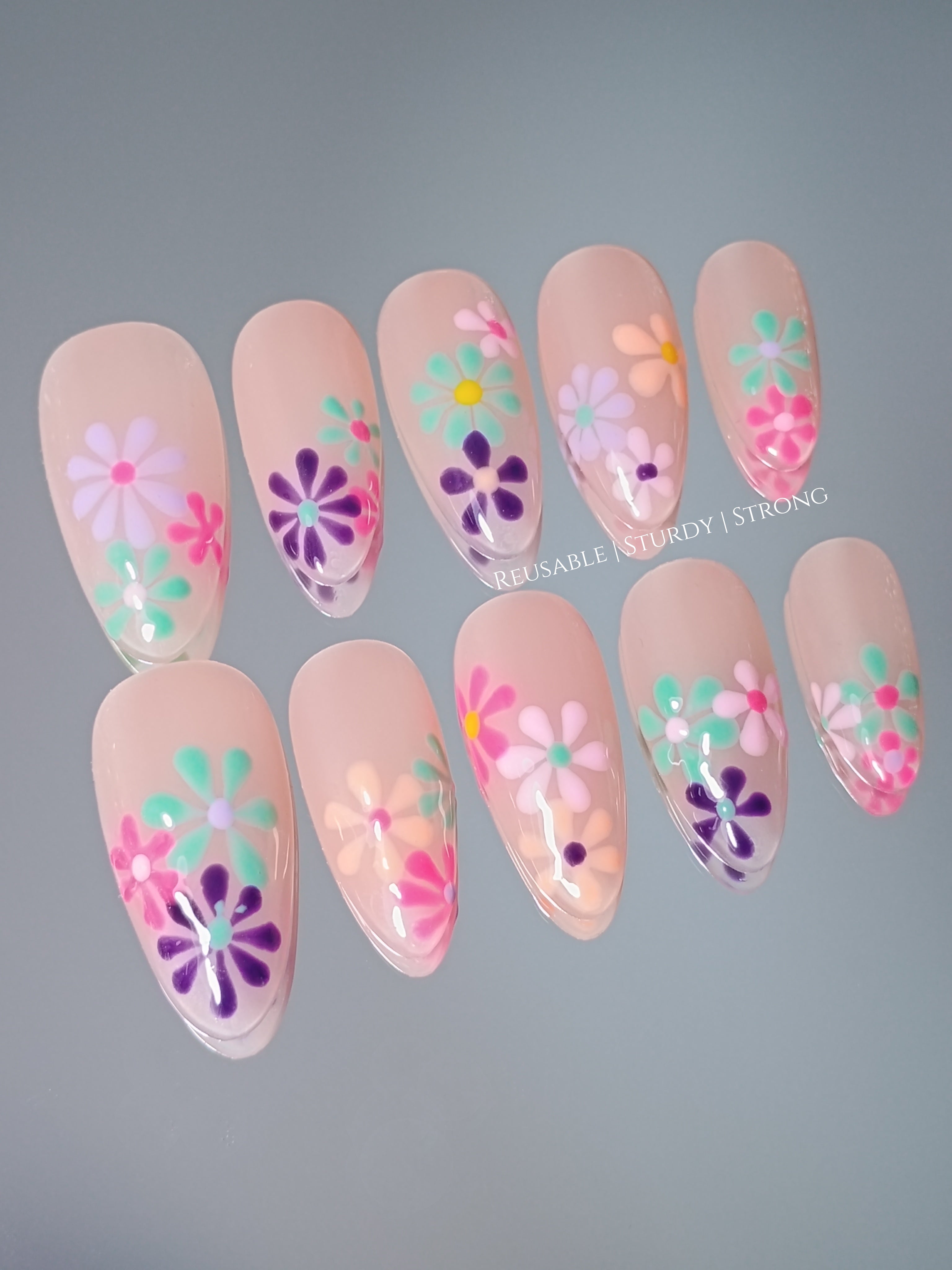 Vivid Colourful Blooms